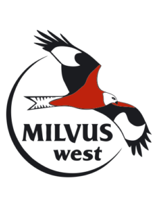 logo-milvus